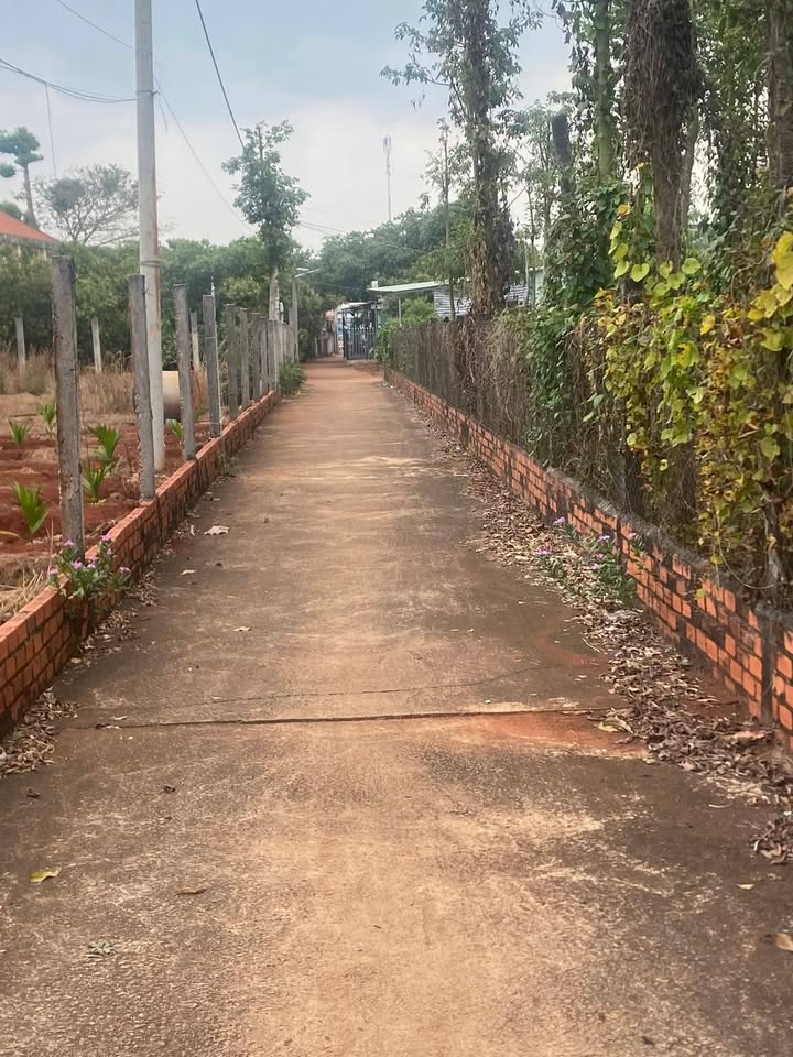 Đất nền Phường 10, Vũng Tàu 484m² giá 1 tỷ - Pháp lý rõ ràng, thuận tiện xây dựng