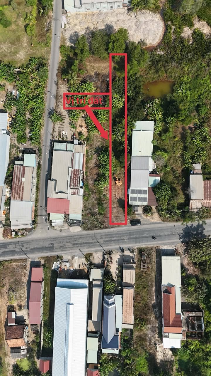 Đất mặt tiền Đường Tỉnh 838, Đông Thành, 312.8 m² - Đầu tư sinh lời ngay!