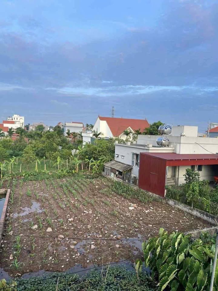 Bán đất Xóm 5, Xã Xuân Ninh, Huyện Xuân Trường 230m² giá 1.2 tỷ - Cơ hội đầu tư tuyệt vời!