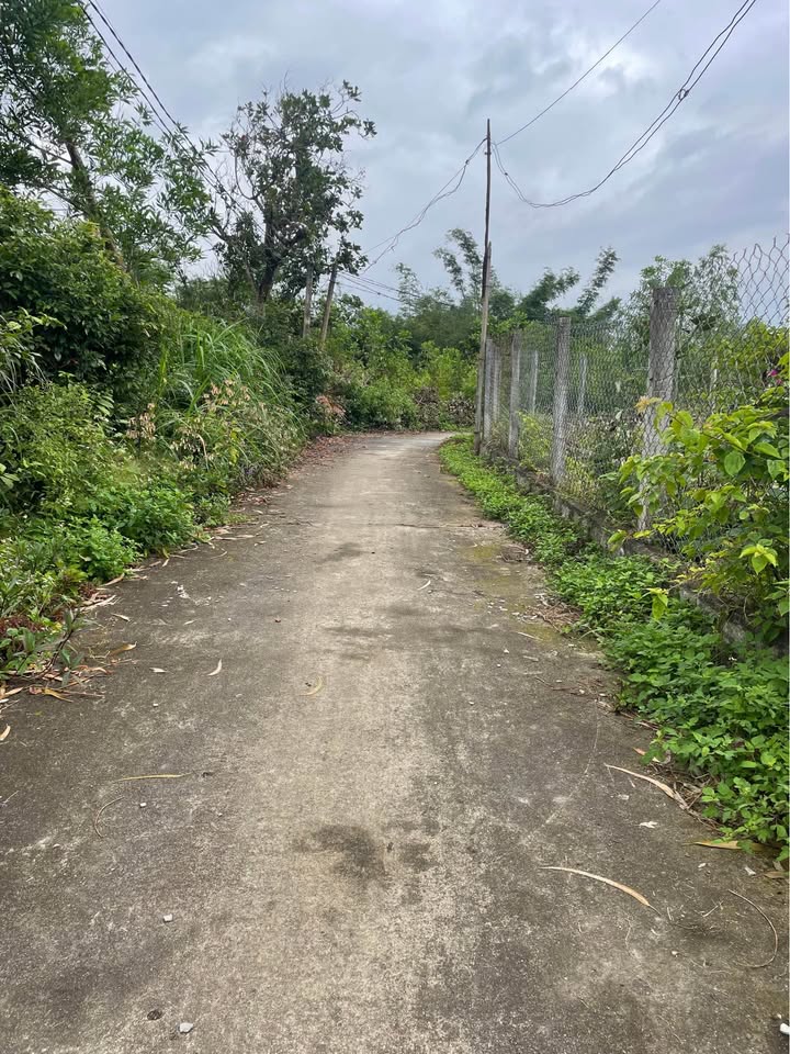 Đất nền thổ cư Tuy Phước 110m² giá chỉ 300 triệu - Đầu tư sinh lời ngay!