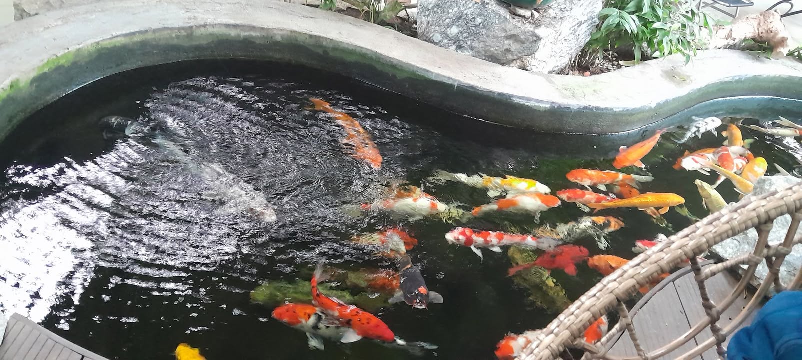 Đất nền Hòa Long Center 100m² giá 1.07 tỷ - Sổ hồng chính chủ, thổ cư 100%!