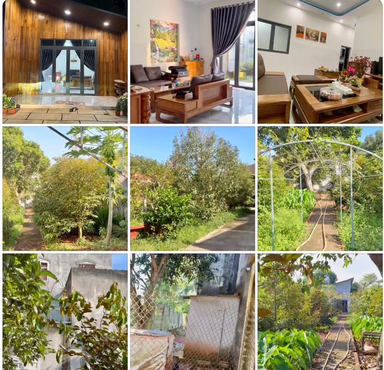 Đất Farm Mặt Tiền Đường Nhựa Phường Long Phước 1000m² giá 4.5 tỷ - Nắm Chủ Gấp!