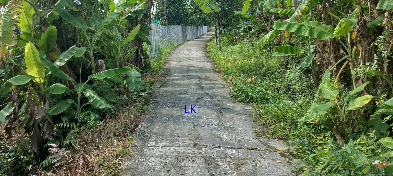 Đất nền thổ cư 238m² xã Mỹ Quý, Đồng Tháp - Giá chỉ 350 triệu!