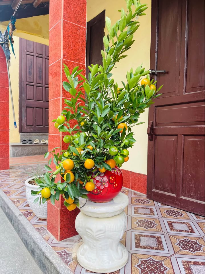 Đất nền đẹp 81.8m² tại Ninh Sơn, giá 3 tỷ - Chính chủ cần bán gấp!