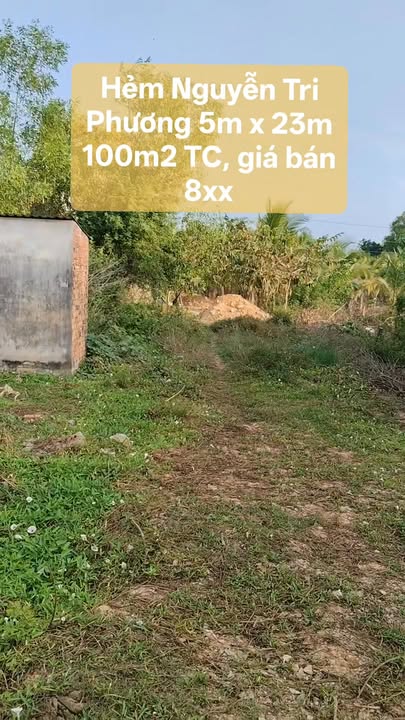 Nhà riêng Hẻm Nguyễn Tri Phương, B'lao, Lâm Đồng 115m² - Cơ hội đầu tư tuyệt vời!