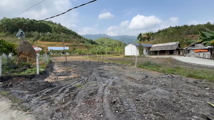 Lô đất thổ cư 200m² tại Thượng Long, Yên Lập - Đầu tư sinh lời chỉ 400 triệu!