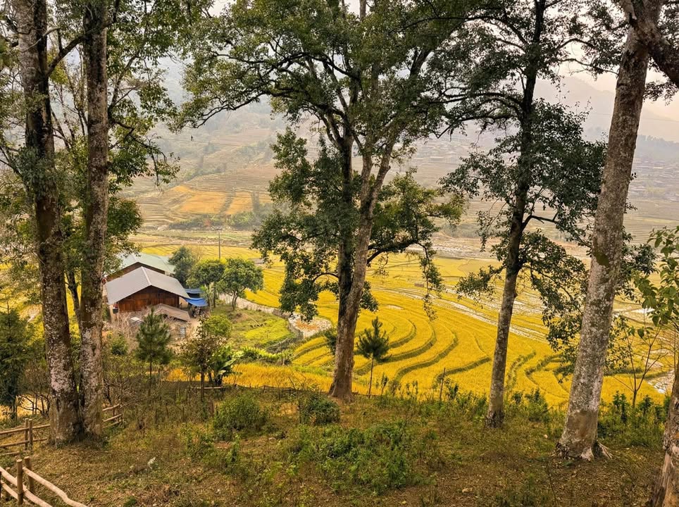 Đất thổ cư 2800m² tại Tả Van - Giá trị đầu tư bền vững!