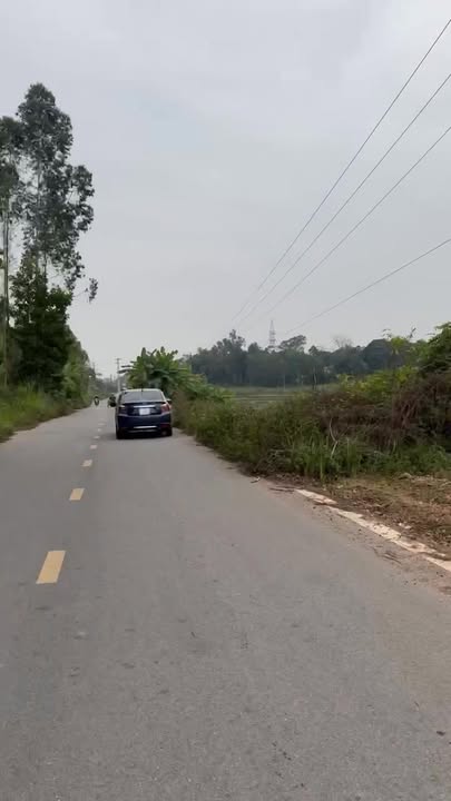 Đất rừng Yên Thạch, Sông Lô 11.784m² giá 2 tỷ - Tiềm năng tăng giá hấp dẫn!