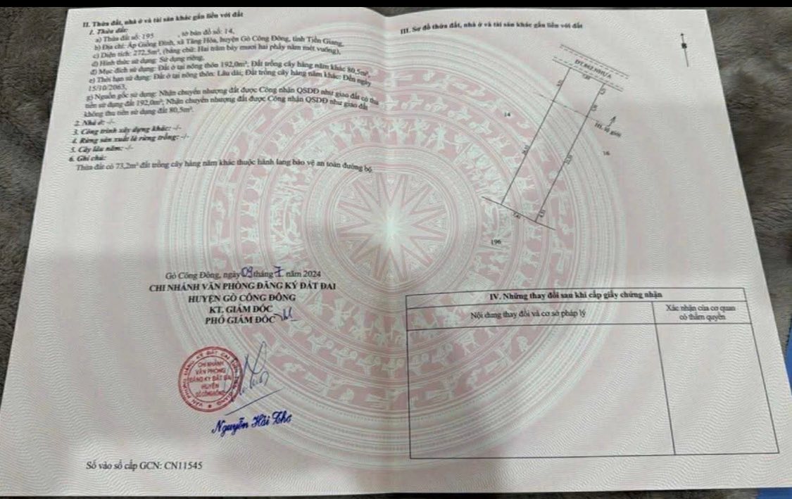 Nhà lầu mặt tiền DT862, xã Tân Thành, diện tích 272m², giá 4.5 tỷ - Kinh doanh thuận lợi!