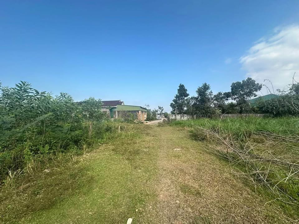 Đất thổ cư Hương Khê 210m² giá 1 tỷ - Đầu tư sinh lời tại vị trí đắc địa!