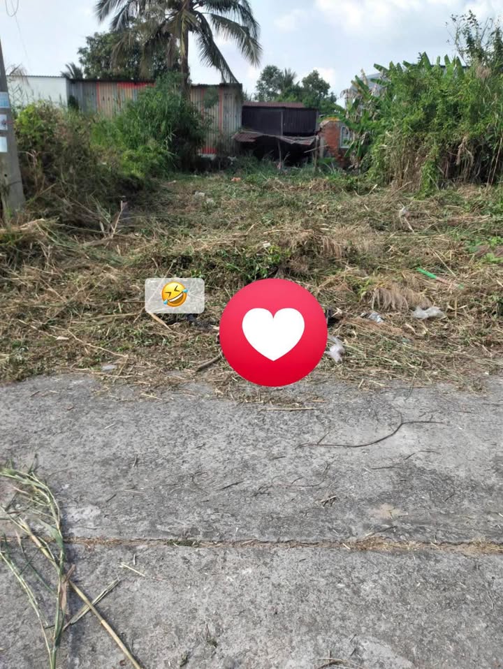 Đất nền chính chủ tại xã Giục Tượng, huyện Châu Thành, 111m² - Giá chỉ 380 triệu!