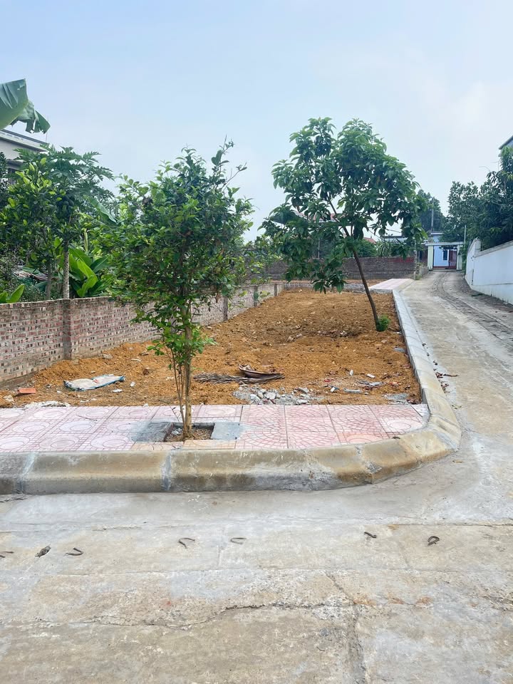 Đất góc 113m² tại Xã Phú Cát, Quốc Oai, giá tốt - Đầu tư sinh lời ngay!