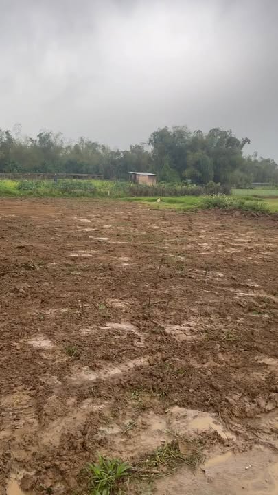 Đất nền Thị trấn Nam Phước 510m² giá chỉ 700 triệu - Cơ hội đầu tư tuyệt vời!