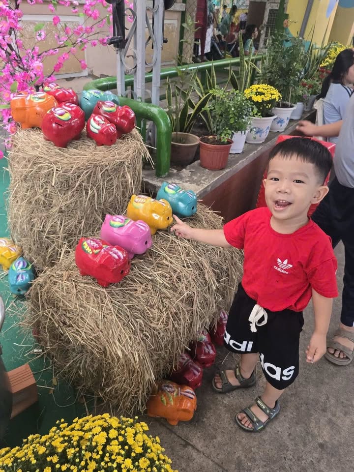 Đất nền tại thôn Quang Phục, huyện Tứ Kỳ 80m² giá 600 triệu - Đường to thông thoáng!