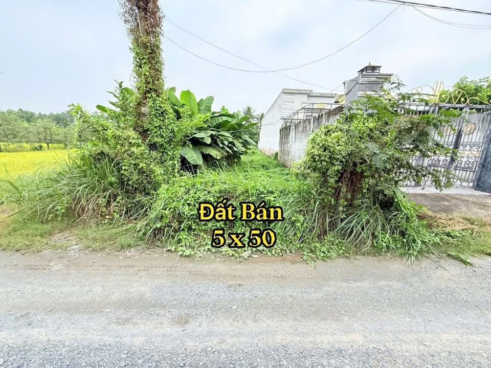 Đất nền 250m² tại ấp 2, xã Long Cang, Cần Đước giá 1.25 tỷ - Cơ hội đầu tư tuyệt vời!