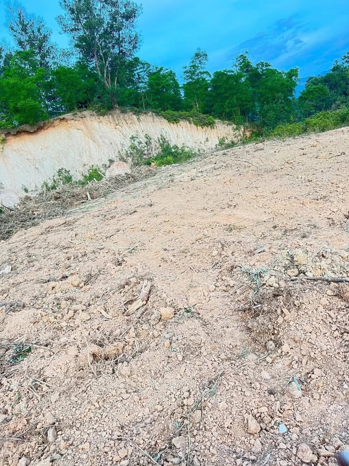 Đất nền huyện Điện Biên 1500m² - Cơ hội đầu tư sinh lời!