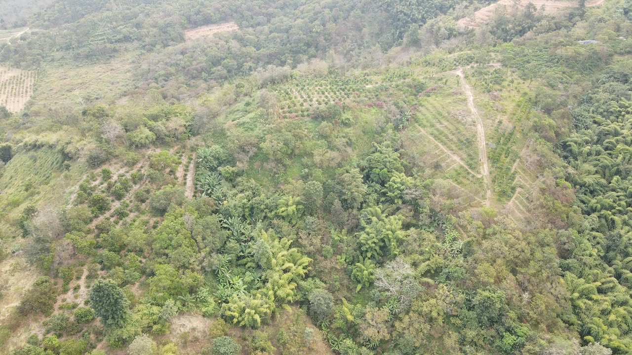 Lô đất rẫy 3,6 sào tại xã Eana, Đắk Lắk giá 220 triệu - Cần bán gấp!