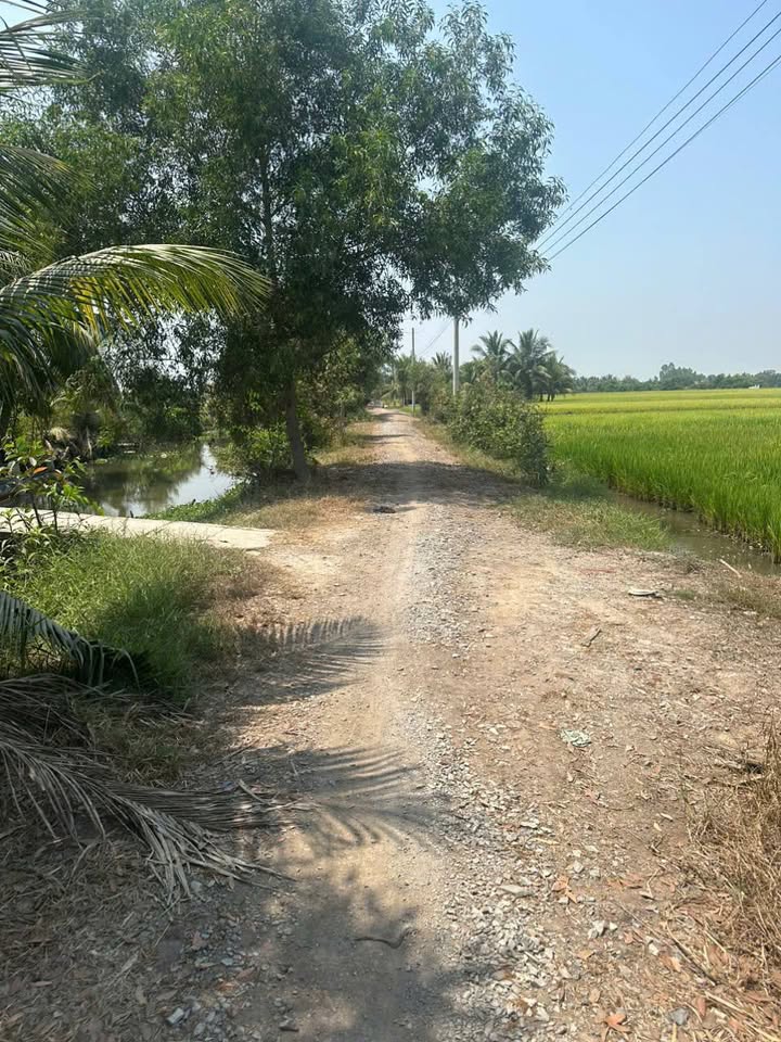 Đất nền An Ninh Tây - Đức Hòa - Long An 1488m² giá 1.15 tỷ - Pháp lý rõ ràng!