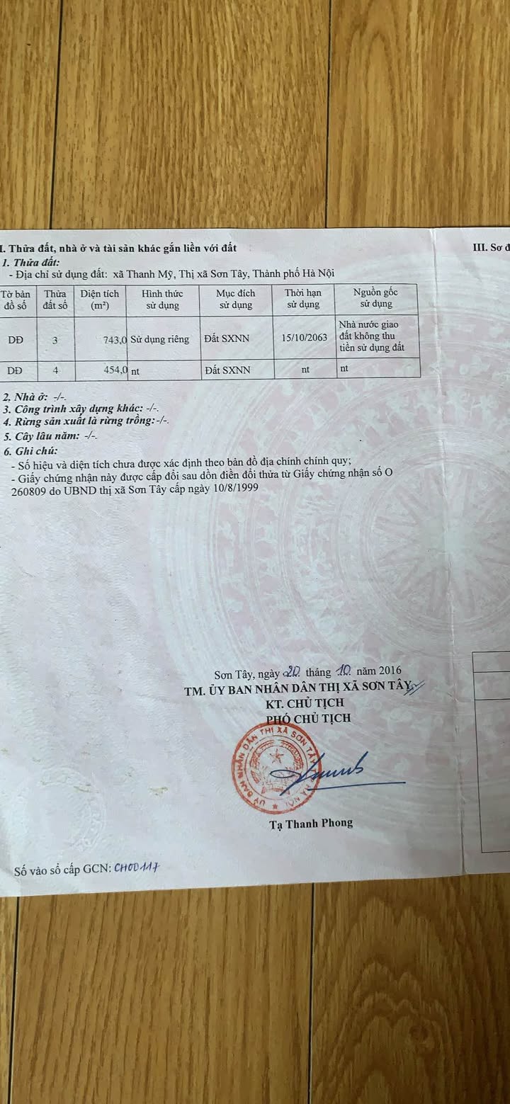 Đất nông nghiệp 720m² Thái Mỹ, Củ Chi giá chỉ 200 triệu - Cơ hội đầu tư hấp dẫn!