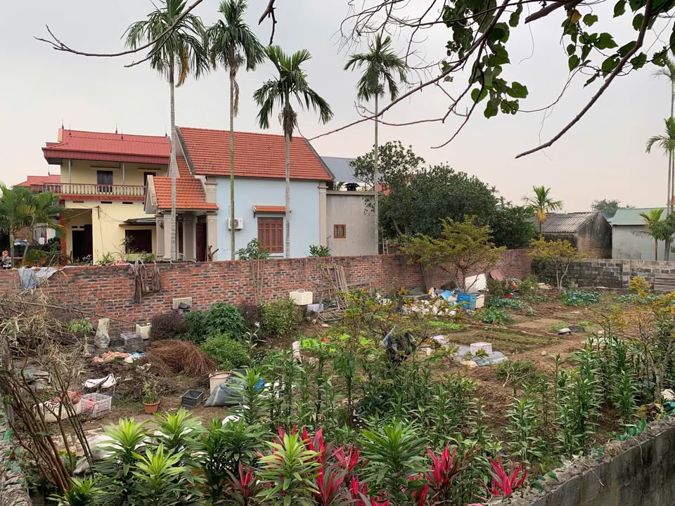 Bán đất Phường Mạo Khê, Đông Triều 264m² - Tặng cả vườn hoa chơi Tết!