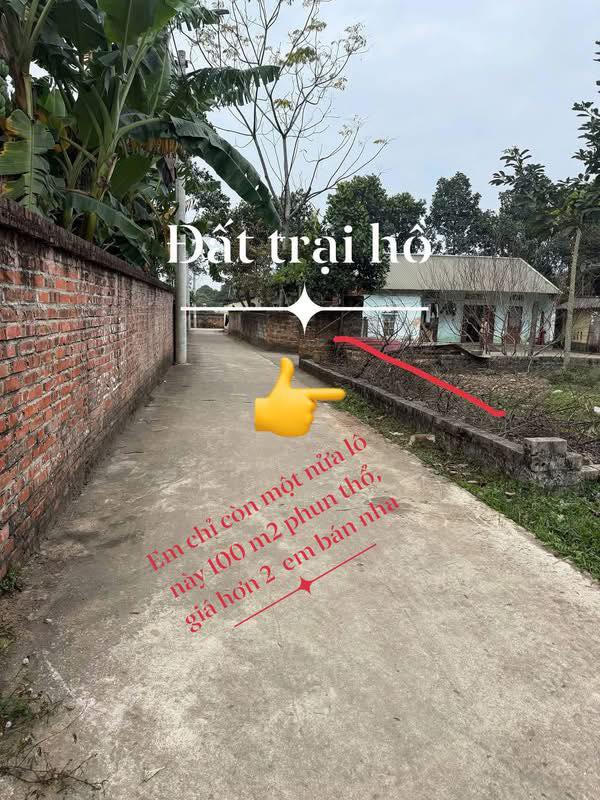 Đất thổ cư 100m² tại Cát Quế, Hoài Đức - Giá chỉ 2 tỷ, sở hữu ngay!