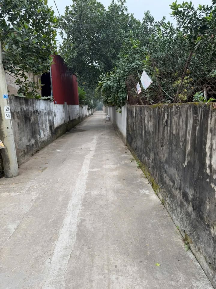 Đất nền Đan Phượng 93m² giá 2 tỷ - Sổ đỏ chính chủ, vị trí đắc địa!