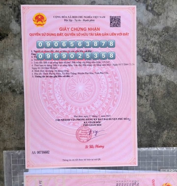 Đất nền ONT Phong Niên 179m² giá thỏa thuận - Đầu tư sinh lời ngay!