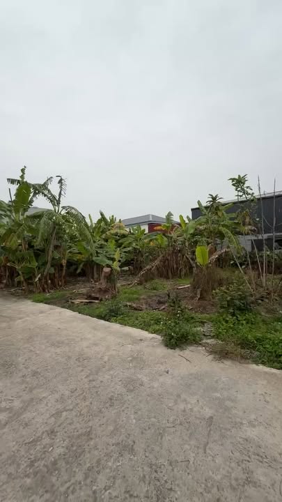 Đất nền 160m² xã Thọ Nghiệp, huyện Xuân Trường - Cơ hội đầu tư hấp dẫn!