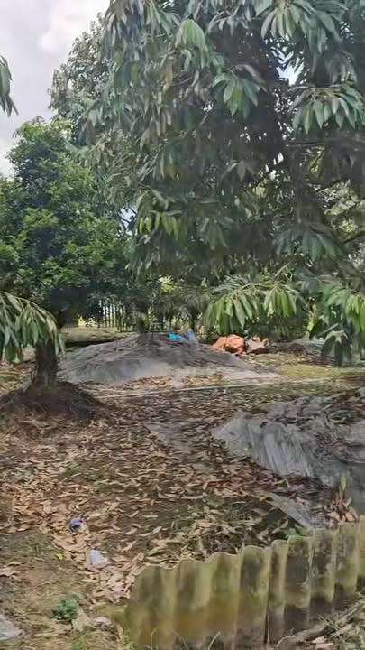 Đất nông nghiệp 2800m² tại Long Khánh, Cai Lậy - Cơ hội sinh lời hấp dẫn!