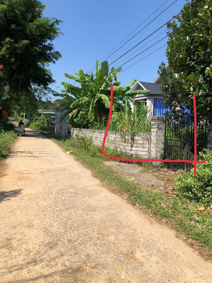 Đất thổ cư 492m² tại thôn Điền Trạch, Thị trấn Sao Vàng - Giá chỉ 600 triệu!