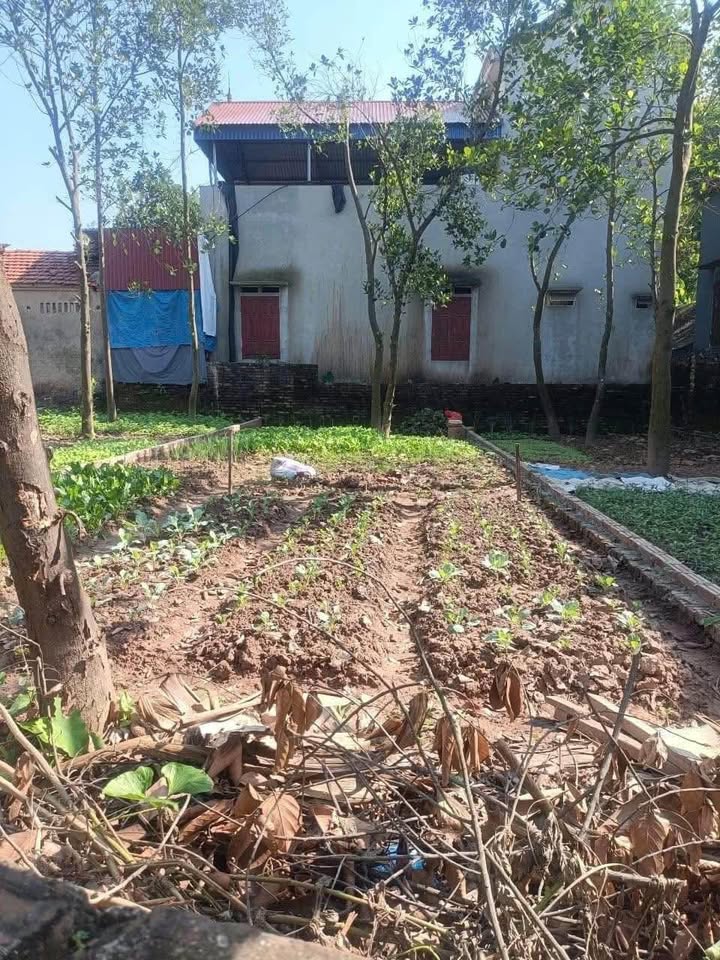 Đất nền Trung Hà, Yên Lạc 92,7m² giá 1,5 tỷ - Đường ô tô vào tận nơi!