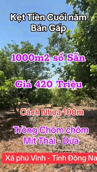 Đất vườn 1000m² xã Phú Vinh, 420 triệu - Cơ hội đầu tư hấp dẫn!