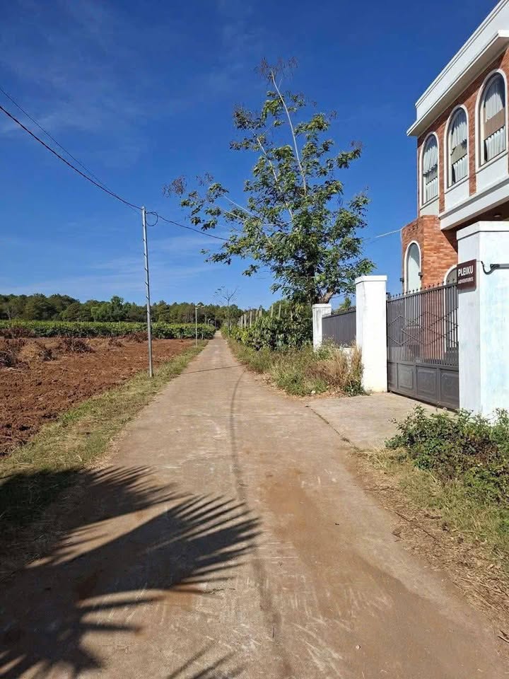 Đất nền Biển Hồ, Pleiku 175m² giá thỏa thuận - Cơ hội đầu tư sinh lời!