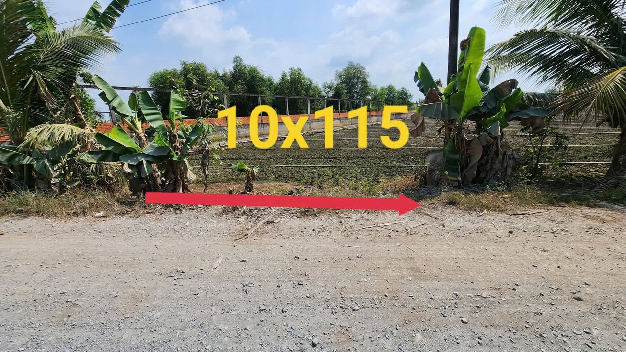 Đất 10x115m tại Hòa Khánh Nam, Đức Hòa chỉ 1.15 tỷ - Cơ hội đầu tư hấp dẫn!