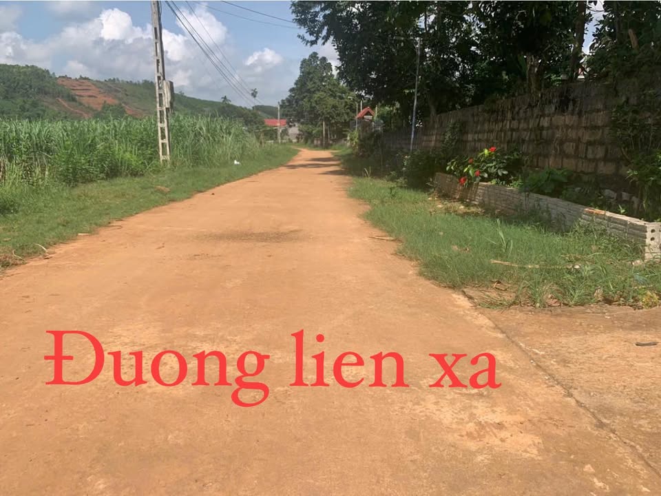 Đất nền xã Ngọc Trạo, Thạch Thành 150m² giá chỉ 100 triệu - Sổ đỏ chính chủ ngay!