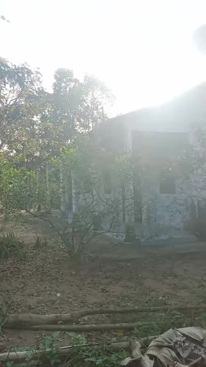 Đất vườn 1451m² xã Long Phước, Vĩnh Long - Giá chỉ 400 triệu!