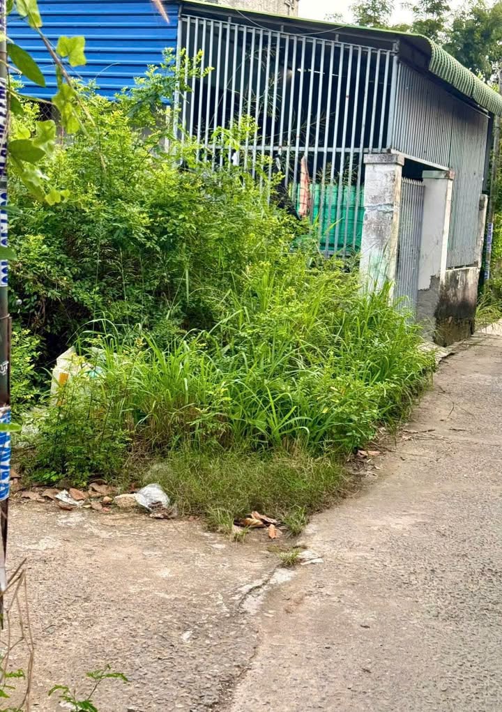 Đất thổ cư 110m² Đặng Văn Lãnh, Phan Thiết - Giá tốt, vị trí đắc địa!