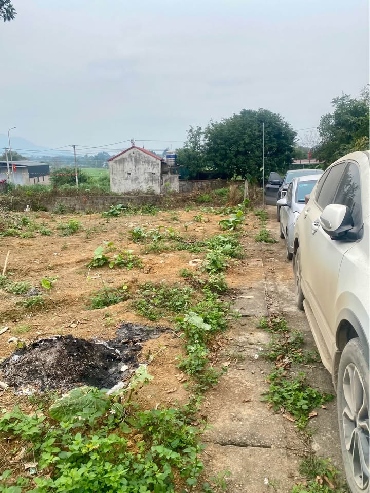 Đất nền xã Tản Lĩnh, huyện Ba Vì 2500m² giá thỏa thuận - Vị trí đẹp, xe tránh