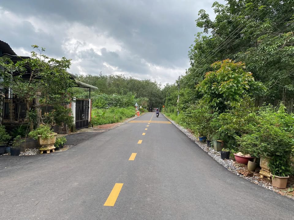 Đất nền Nhựa Phước Hòa, Huyện Phú Giáo, 230m² giá 1 tỷ - Đường thông dân đông, cơ hội đầu tư hấp dẫn!