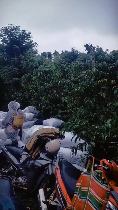 Farm Tân Châu, Huyện Di Linh 1,3ha giá 3,64 tỷ - Đầu tư sinh lời ngay!