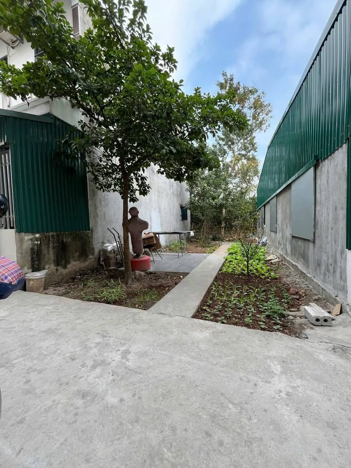 Đất Thắng Cựu, Phú Xuân 65m² giá 1.3 tỷ - Hướng Đông Nam mát mẻ!