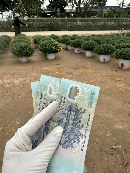 Đất thổ cư Xuân Viên, Yên Lập, Phú Thọ 160m² giá chỉ 200 triệu - Cơ hội đầu tư tuyệt vời!