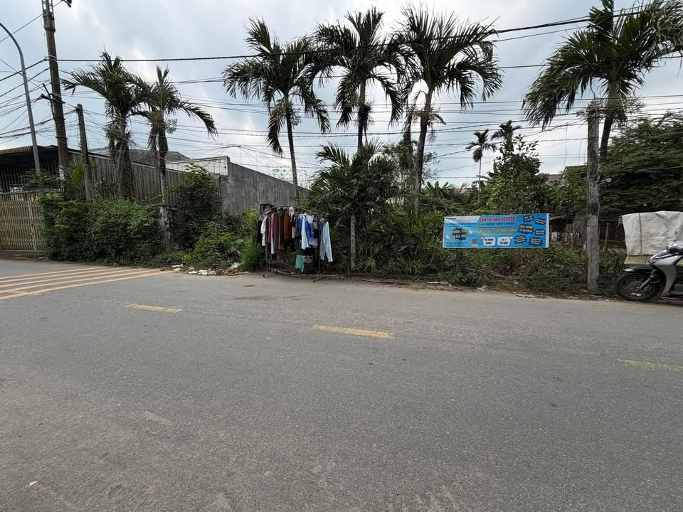 Bán vườn mini mặt tiền đường nhựa Nghĩa Thuận 670m² - Cơ hội đầu tư hấp dẫn!