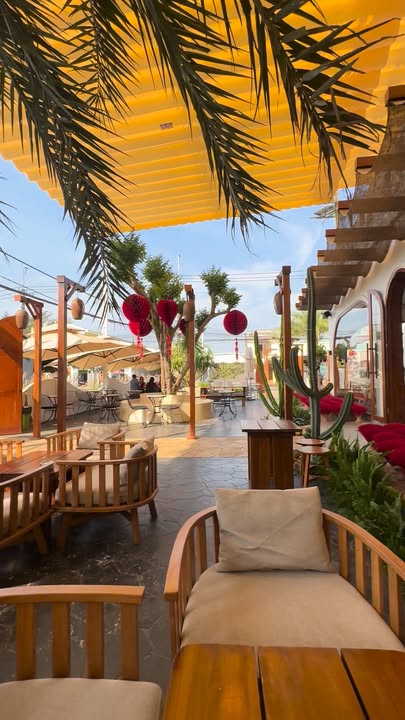 Đất nền Bàu Hàm 650m² giá 1 tỷ - Đầu tư sinh lời ngay hôm nay!