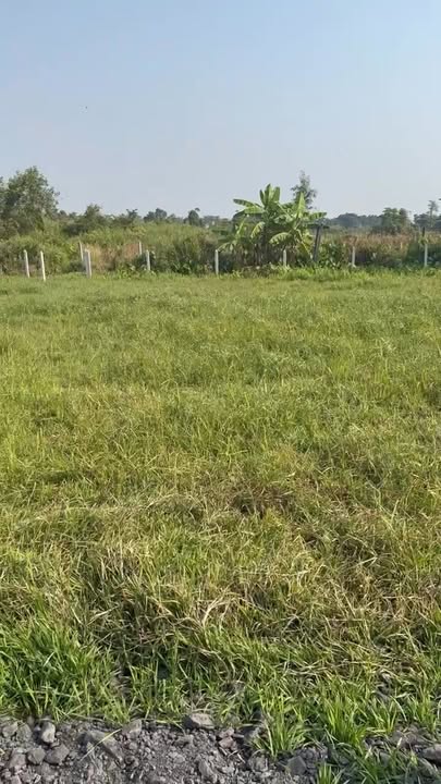 Đất nền sổ đỏ riêng tại Bình Mỹ, Củ Chi 475m² giá 1.39 tỷ - Đầu tư sinh lời ngay!