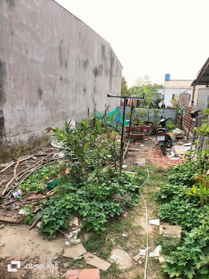 Đất nền xã Mỹ Hạnh Bắc, huyện Đức Hòa, 105m² giá 1.6 tỷ - Sổ hồng chính chủ