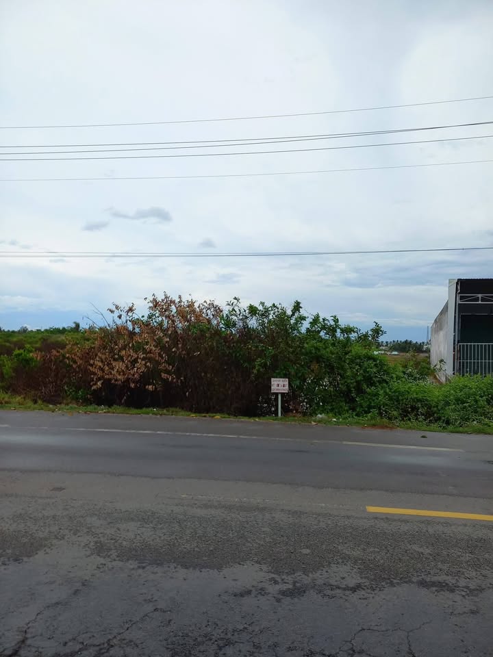 Đất nền đường tránh QL 1A, Bạc Liêu 748m² - Góc nhìn tiềm năng đầu tư!