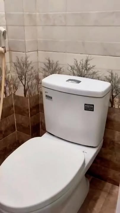 Nhà phố Lạc Long Quân, Quận 11, 21m² giá 5.4 tỷ - Đầu tư sinh lời ngay!