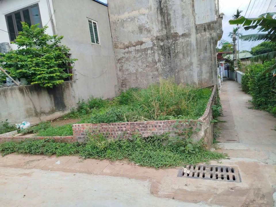 Đất nền lô góc Đông Mỹ, Thanh Trì 60m² giá 6.35 tỷ - Tiềm năng tăng giá cao!