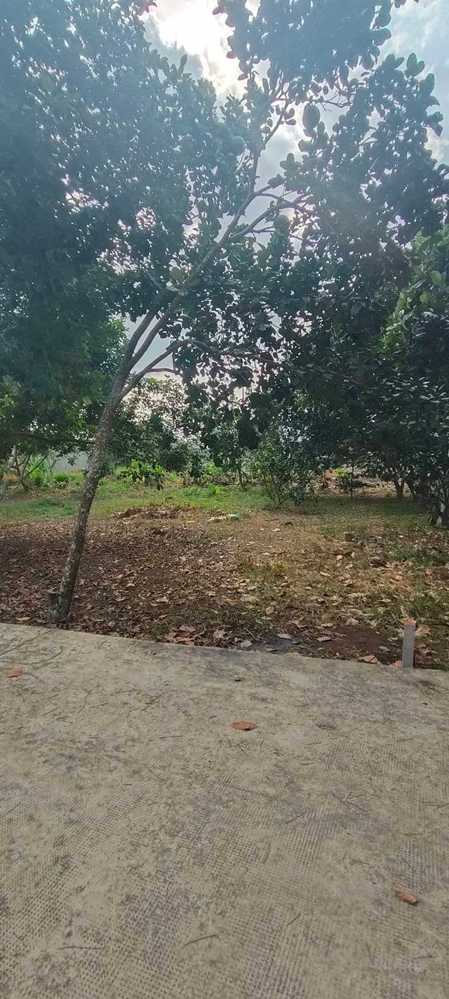 Đất thổ cư Khu Phố 3, Phường Bình Lộc, 210m² giá 1.08 tỷ - Đầu tư sinh lời cao!